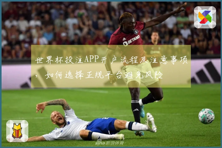 世界杯投注APP开户流程及注意事项，如何选择正规平台避免风险