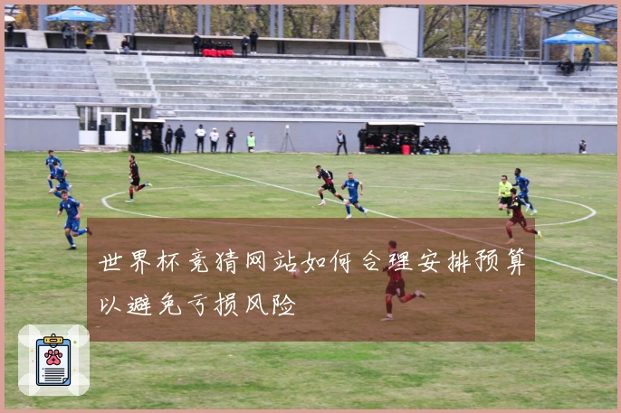 世界杯竞猜网站如何合理安排预算以避免亏损风险