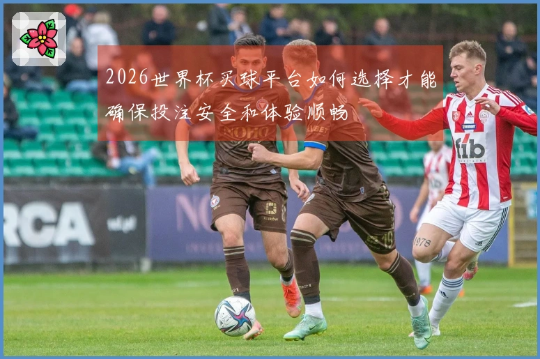 2026世界杯买球平台如何选择才能确保投注安全和体验顺畅