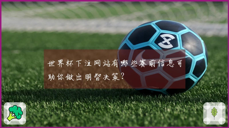 世界杯下注网站有哪些赛前信息可助你做出明智决策？