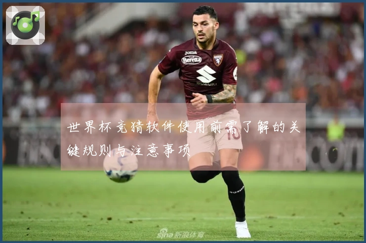 世界杯竞猜软件使用前需了解的关键规则与注意事项